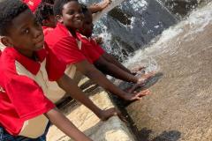 Gracefield_excursion_9